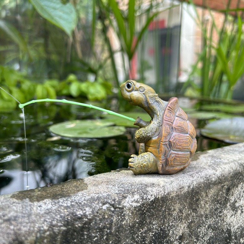 Schildpadvissen, aquariumdecor - Marine Fish Tank recensie en prijs