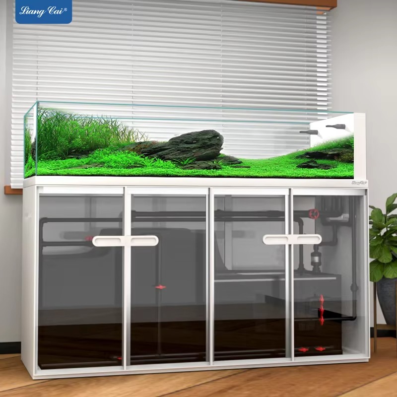 Aquarium accessoires, grote co - Saltwater Tank recensie en prijs