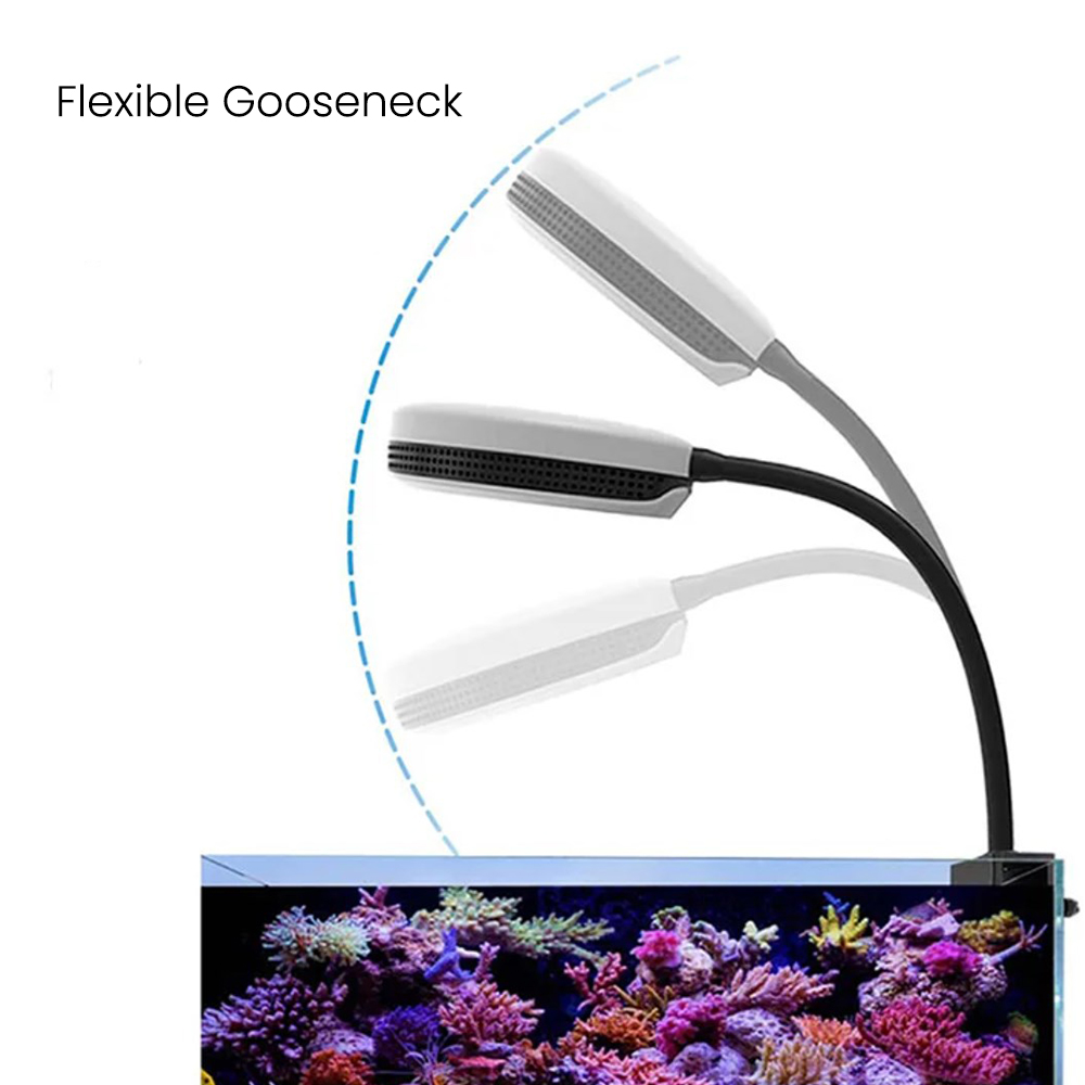 Spectra SP20 20W Aquarium LED- - Reef Lighting recensie en prijs