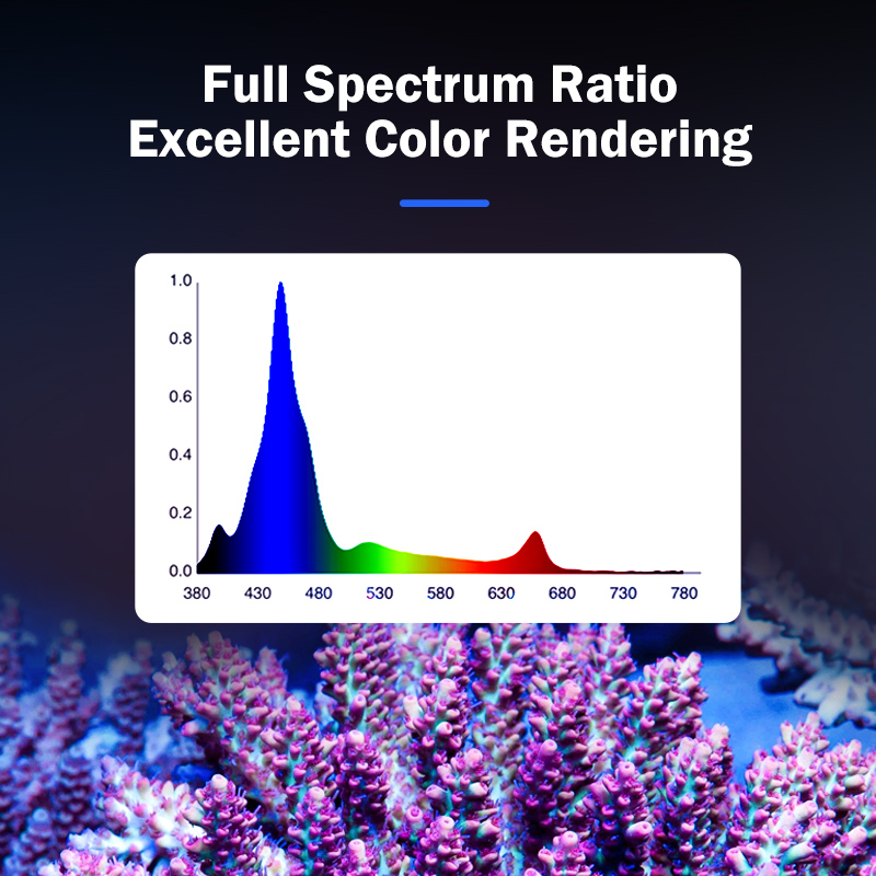 Hot KASSRAY T169/T215 CREE LED - Reef Aquarium recensie en prijs