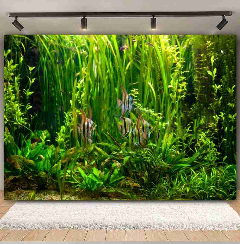 Onder Zee Zeebodem Wereld Foto - Aquarium Marine World recensie en prijs