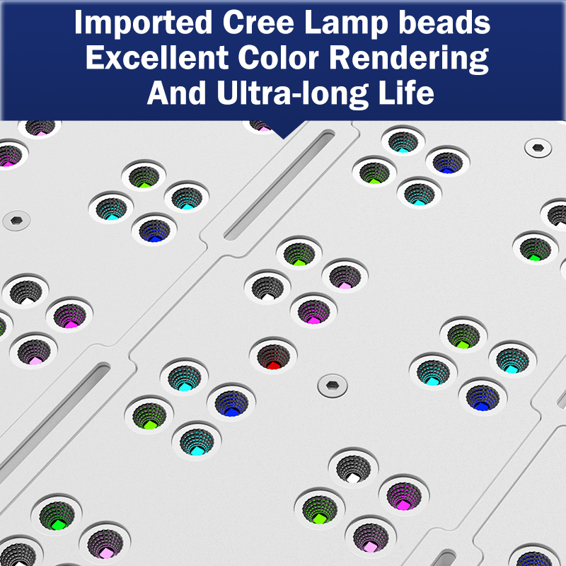 T169 Volledige dekking 169W Fl - Reef Lighting recensie en prijs