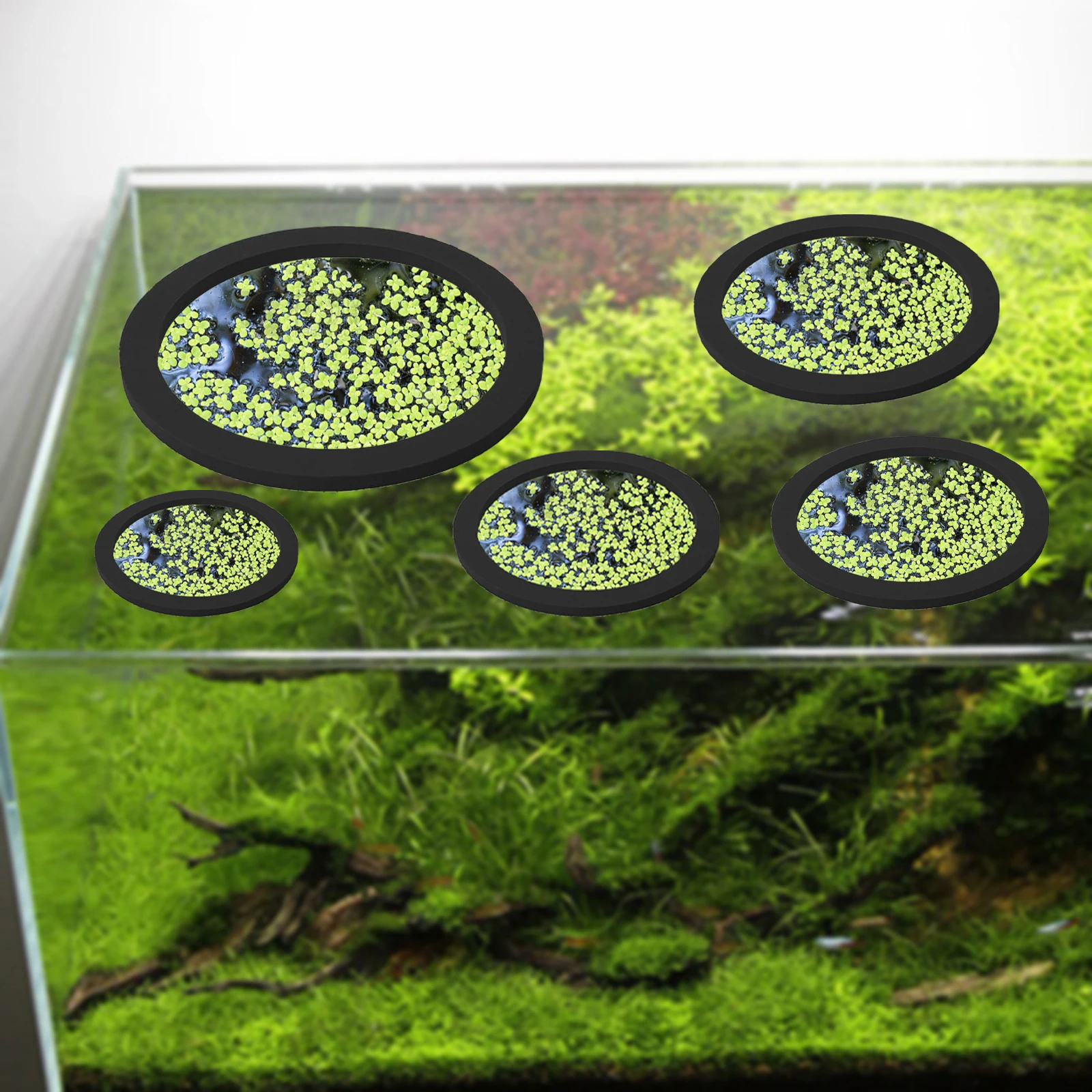 5 stks EVA Vis Voeden Ring Aqu - Ocean Aquarium recensie en prijs