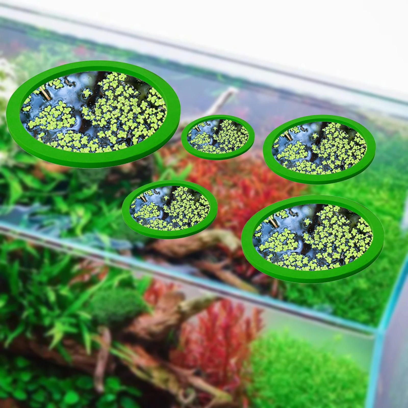 5 stks EVA Vis Voeden Ring Aqu - Ocean Aquarium recensie en prijs