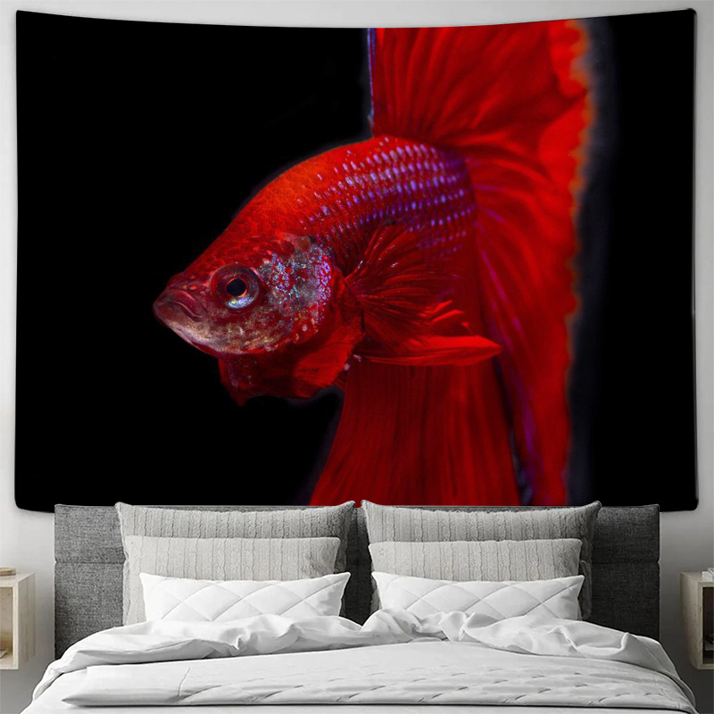 Levendige rode Betta Fish Tape - Ocean Aquarium recensie en prijs