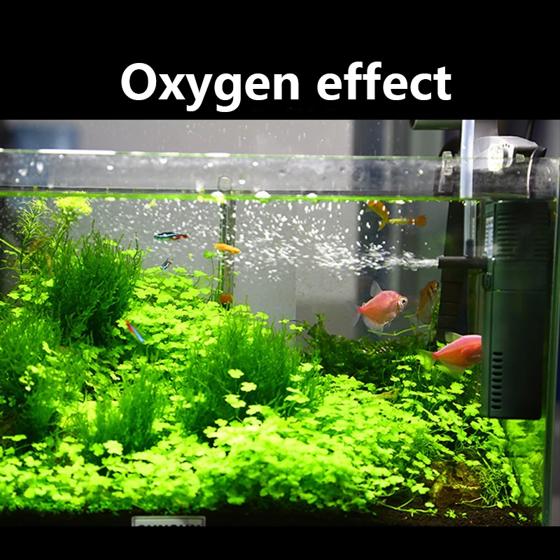 SUNSUN Mini Nano 111B 311B 611 - Reef Tank Filter recensie en prijs